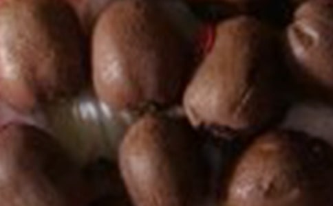 �����⨺���������ƪ