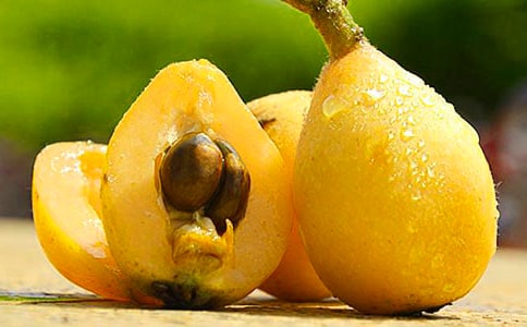 ���˵�����300�ּ���(5ƪ)