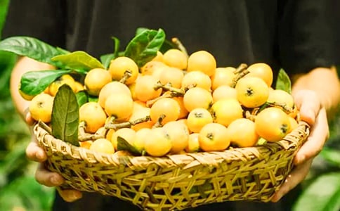 ժ��������300��7ƪ