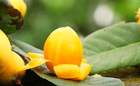 ��ѡд���˵�����300��3ƪ