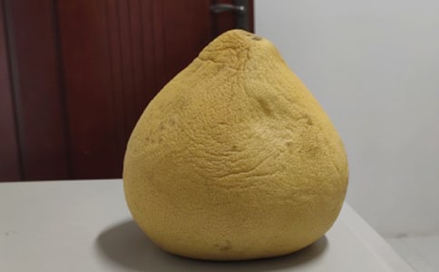 ���꼶��������3ƪ