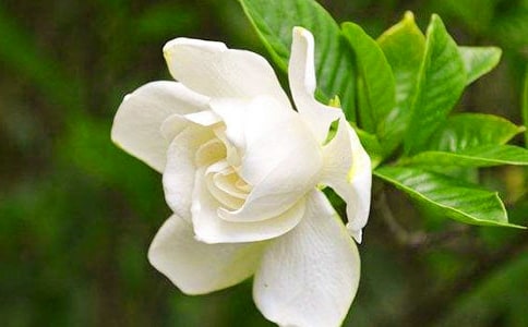 �������ӻ�����500��4ƪ