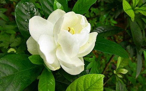 ���ӻ�������