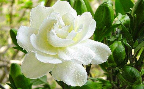 ���ӻ�����500�ֺϼ�7ƪ