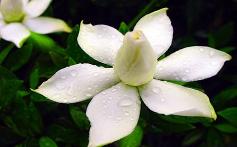 ���ӻ�״������