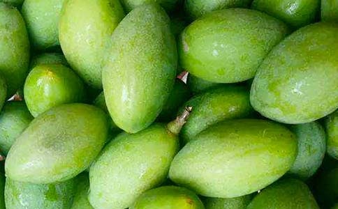 ������ļ���