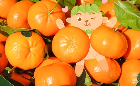 橘子的作文300字九篇