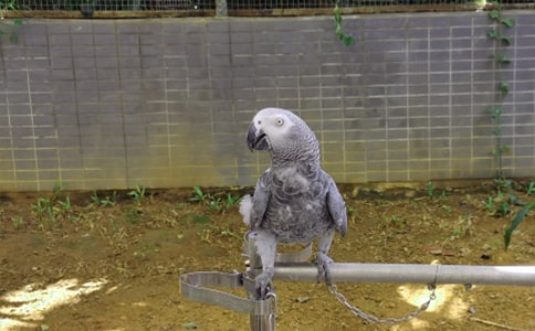 ����Ʒ�����ĵ�����300����ƪ