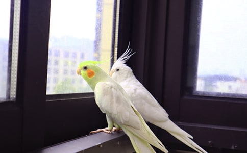 ����ѡ����������400����ƪ