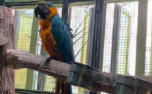 �ɰ����������ģ�ͨ��10ƪ��