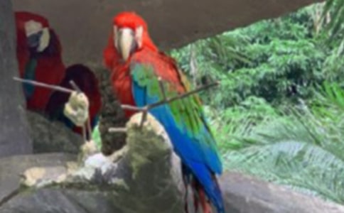 �ɰ�����������600��5ƪ