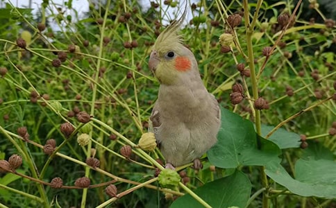 ����ѡ����������300�ֺϼ���ƪ