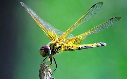 ��ѡ����������600��4ƪ