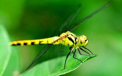 �����ѵ�����300����ƪ