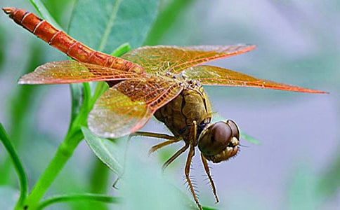 ��ѡ����������300����ƪ