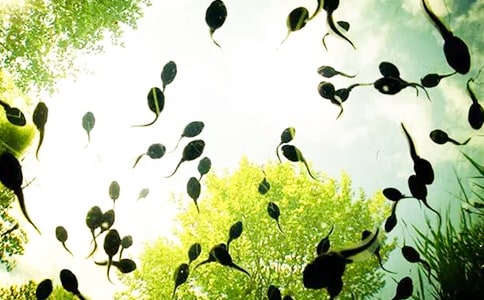 ʵ�õ��������300��