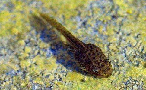 ʵ�õ��������300����ƪ