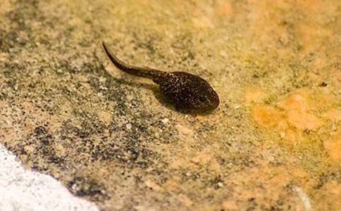 ��ѡ��������400�־�ƪ