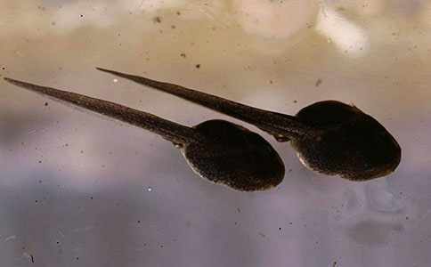 ������������600�־�ƪ