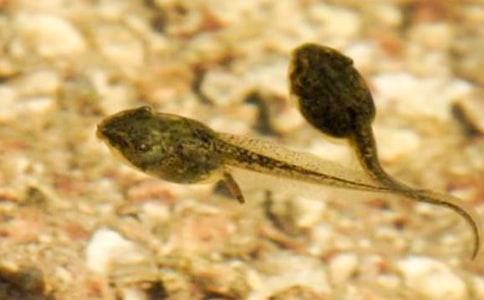 ��������300��3ƪ(�Ƽ�)