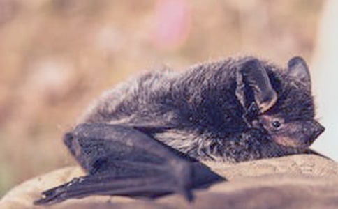 �й����������300��5ƪ