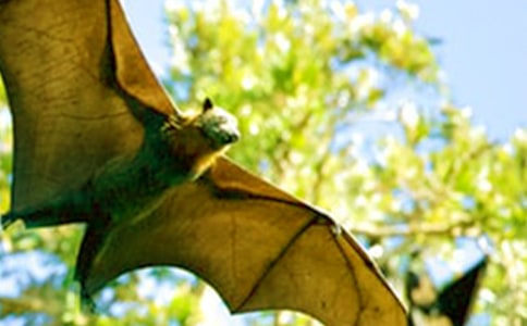 ��ѡ���������400��3ƪ