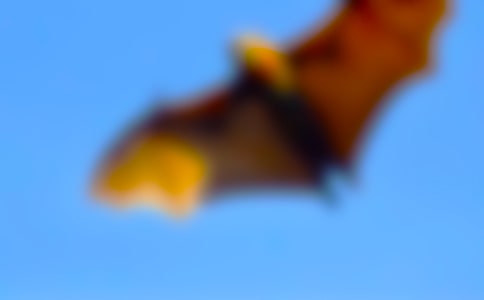 ���������400����ƪ