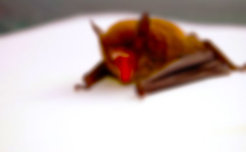 ��������400�ֺϼ���ƪ