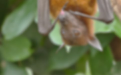 ��˽���������꼶����