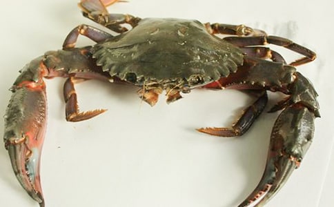 �����š��з����300����ƪ