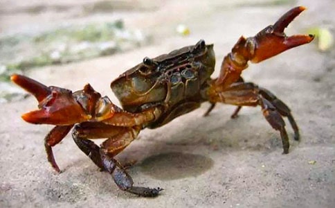 [����]�з������600��