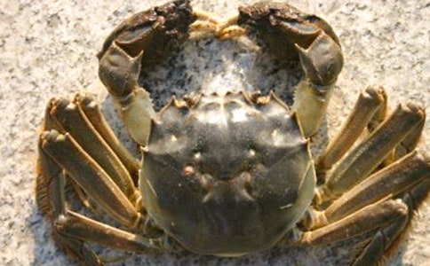 ��д�з������300��7ƪ