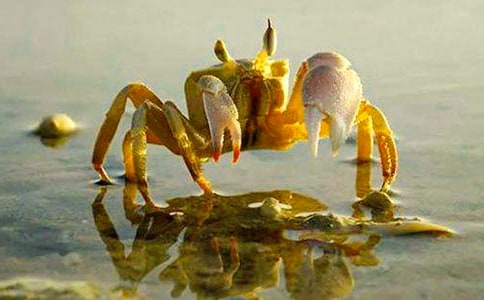 �з������400��4ƪ