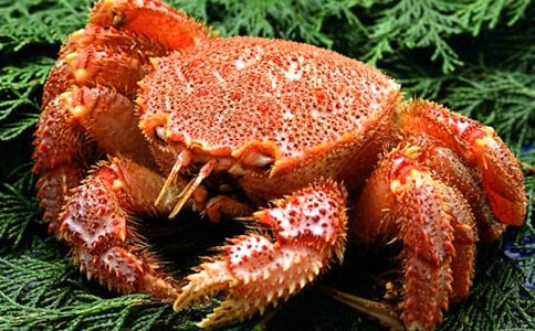 ���Ƽ����з����300��3ƪ