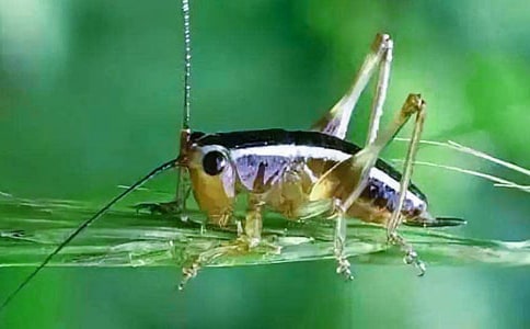 ���ر����������300��4ƪ