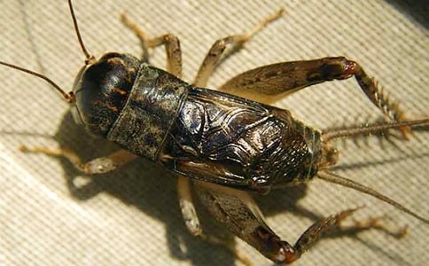 �������300��3ƪ