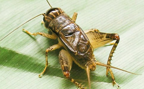 (��Ʒ)������400��8ƪ