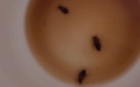 �й���������600�֣���ѡ42ƪ��