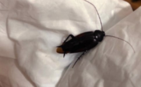 �������300��3ƪ