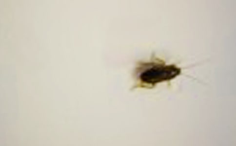 �������300��5ƪ