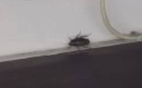 ��ѡ�������300��ʮƪ