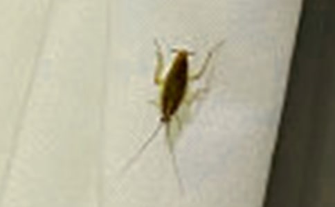 �������300��4ƪ