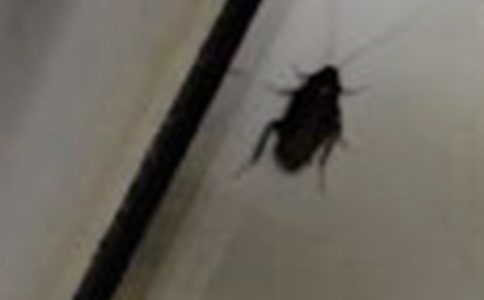 ����ѡ���������300��3ƪ