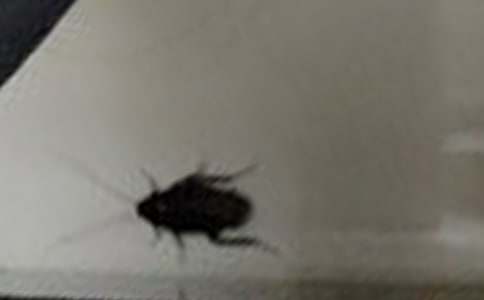 ʵ�õ��������300��