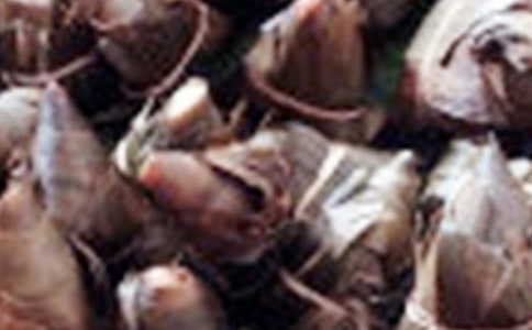 д���ӵ����꼶���ģ���ѡ30ƪ��