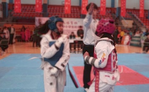 关于跆拳道作文500字3篇