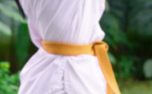 精选跆拳道作文500字3篇