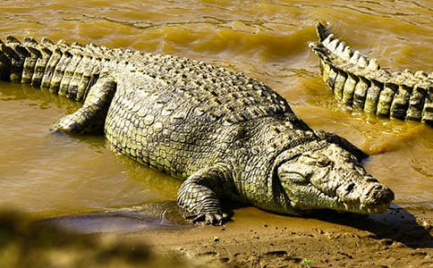 �����㹫԰���ģ�ͨ��30ƪ��