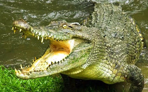 �����㹫԰���Ļ��6ƪ