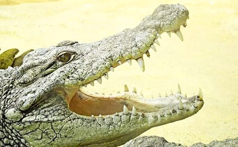 ���㹫԰һ��������